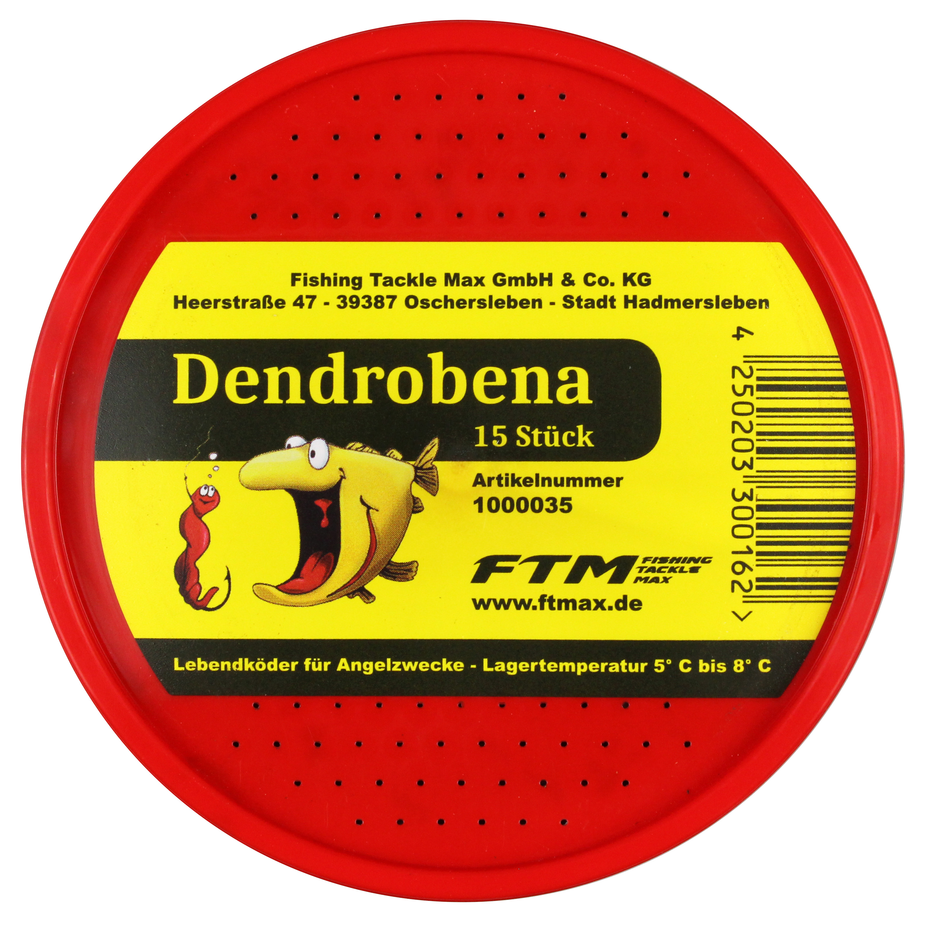 FTM Dendrobena